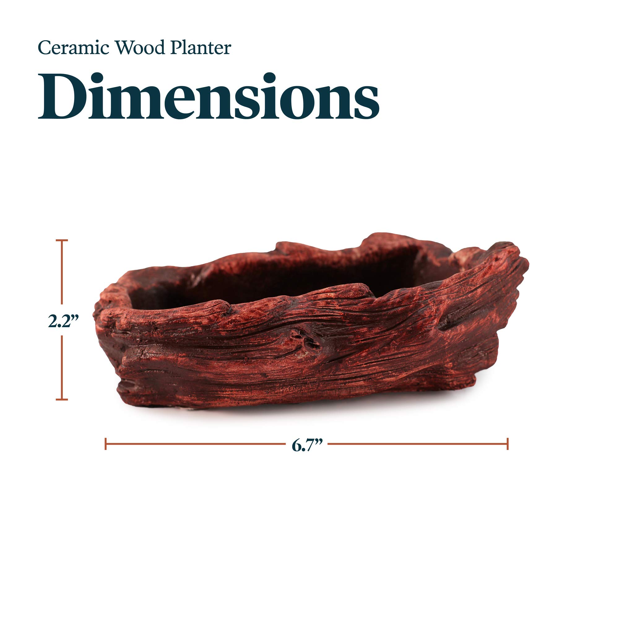 Ceramic Wood Plant Pot - Indoor Wood Planter for Succulents & Small Plants | Unique Log Planter with Redwood Whale Design | Perfect for Home Decor, Office Desk & Gift Giving