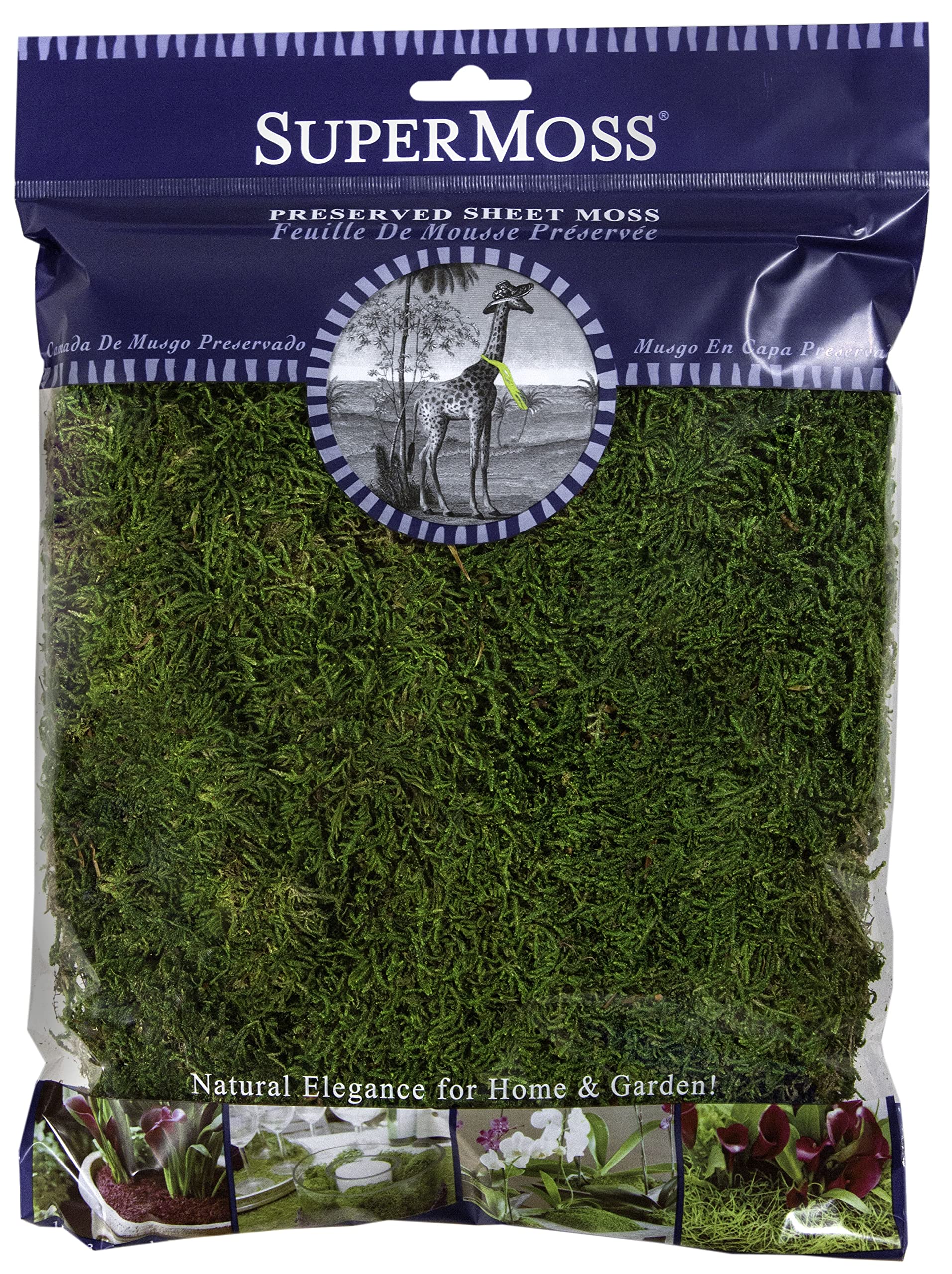 SuperMoss (21512) Preserved Fresh Green Sheet Moss - 8oz (200 Cubic Inch) for Terrariums, Fairy Gardens & Floral Arrangements | Natural Decorative Moss for DIY Crafts & Home Decor