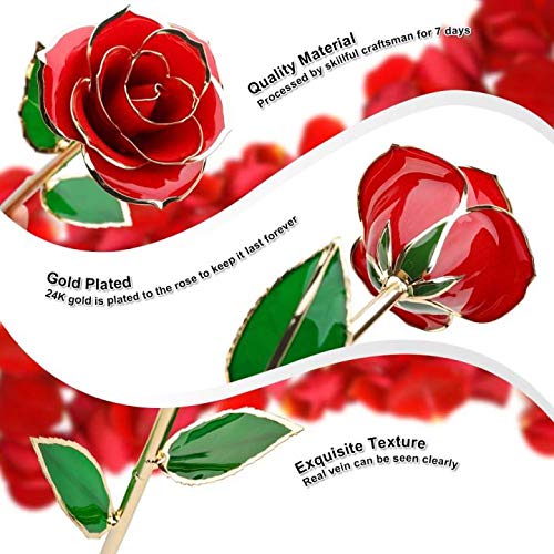 24K Gold Dipped Real Rose with Transparent Stand - Eternal Long Stem Rose Flower for Her, Mom, Wife - Perfect for Anniversary, Mother's Day, Birthday, Valentine's & Wedding Gifts - Elegant Home & Office Décor