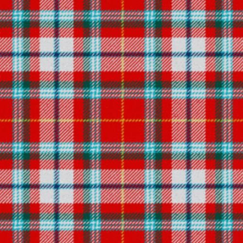 Fredericton Tartan Dress - Classic Plaid Skirt for Women | Perfect for Office, Parties & Casual Wear