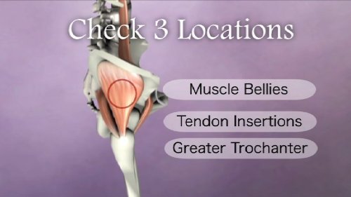 Orthopedic Assessment for Lower Body - Comprehensive Guide for Physical Therapists & Athletes | Improve Mobility & Pain Relief