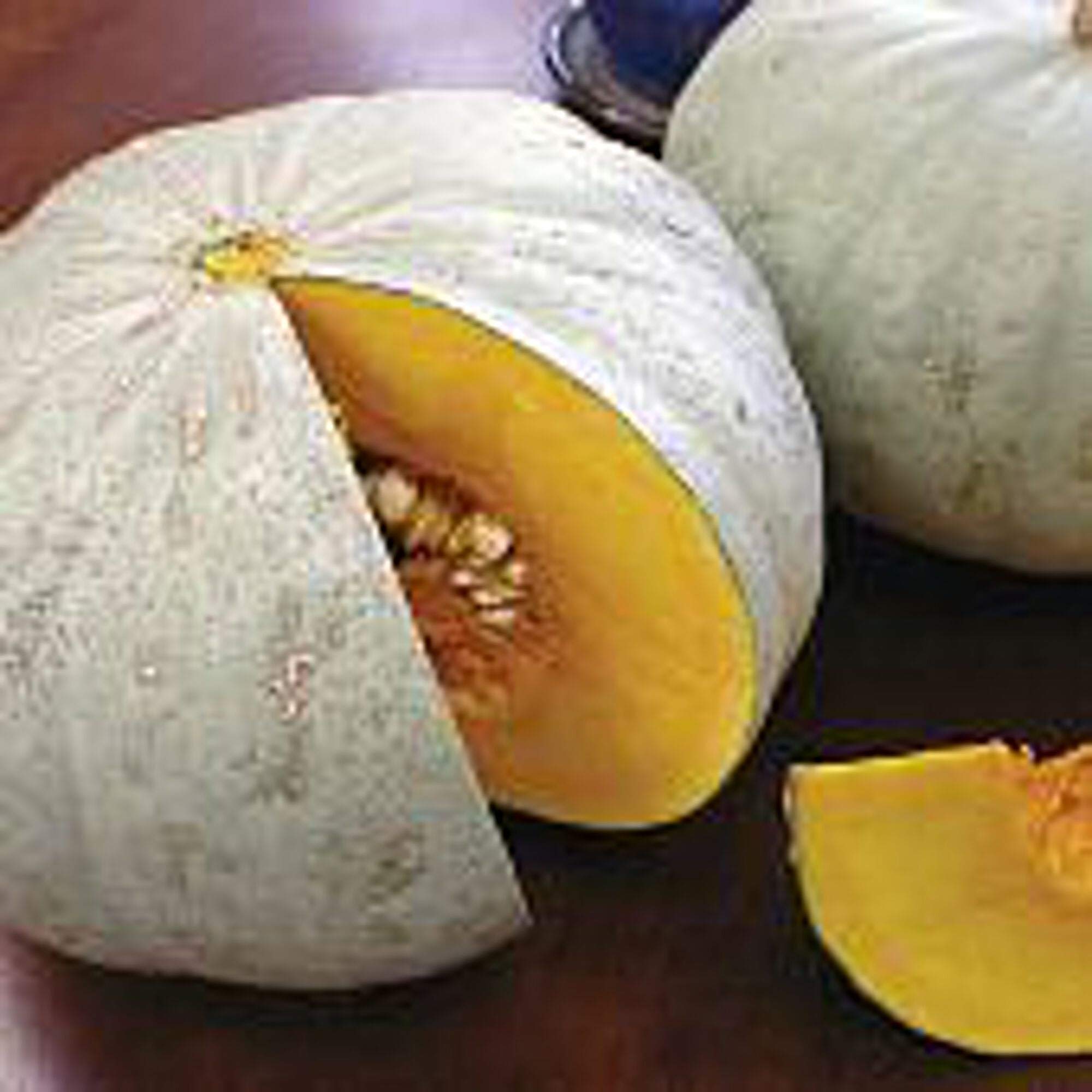 Organic Sweet Meat Squash Seeds - 25+ Heirloom, Non-GMO Vegetable Seeds for Home Gardening | Perfect for Fall Harvests, Pumpkin Patches & Seasonal Cooking