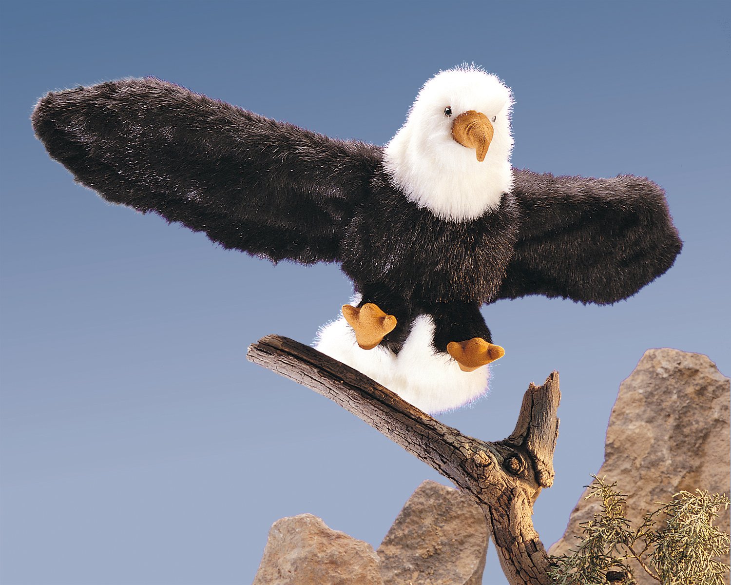 Folkmanis Eagle Hand Puppet - Realistic Bird Puppet for Kids & Adults - Interactive Storytelling, Educational Toy, Gift for Animal Lovers - Perfect for Playtime, Classroom & Theater Performances