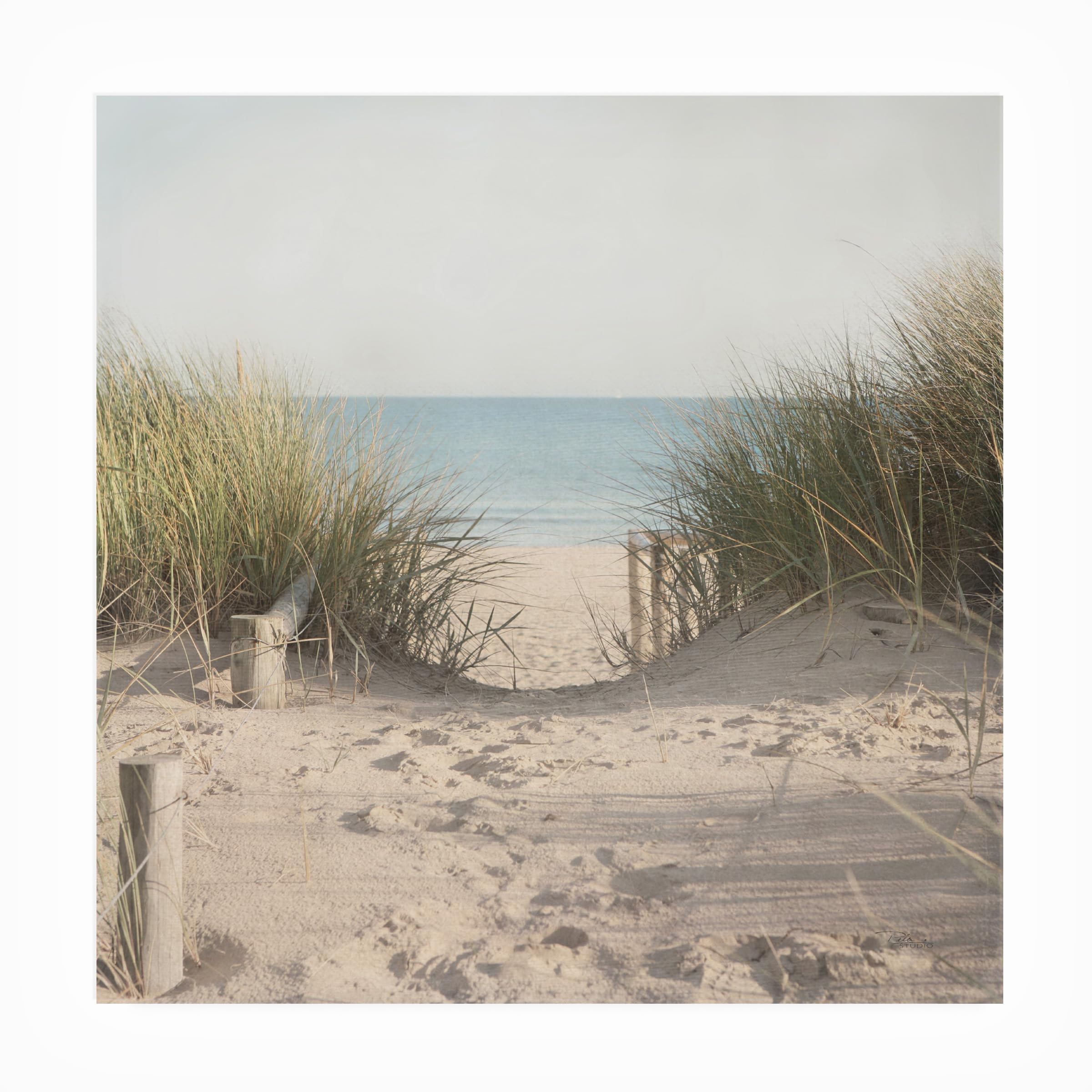 Pela Studio 'Beach Grasses' Weatherproof Outdoor Wall Art Decor - Perfect for Patio, Garden, and Coastal Home Decor