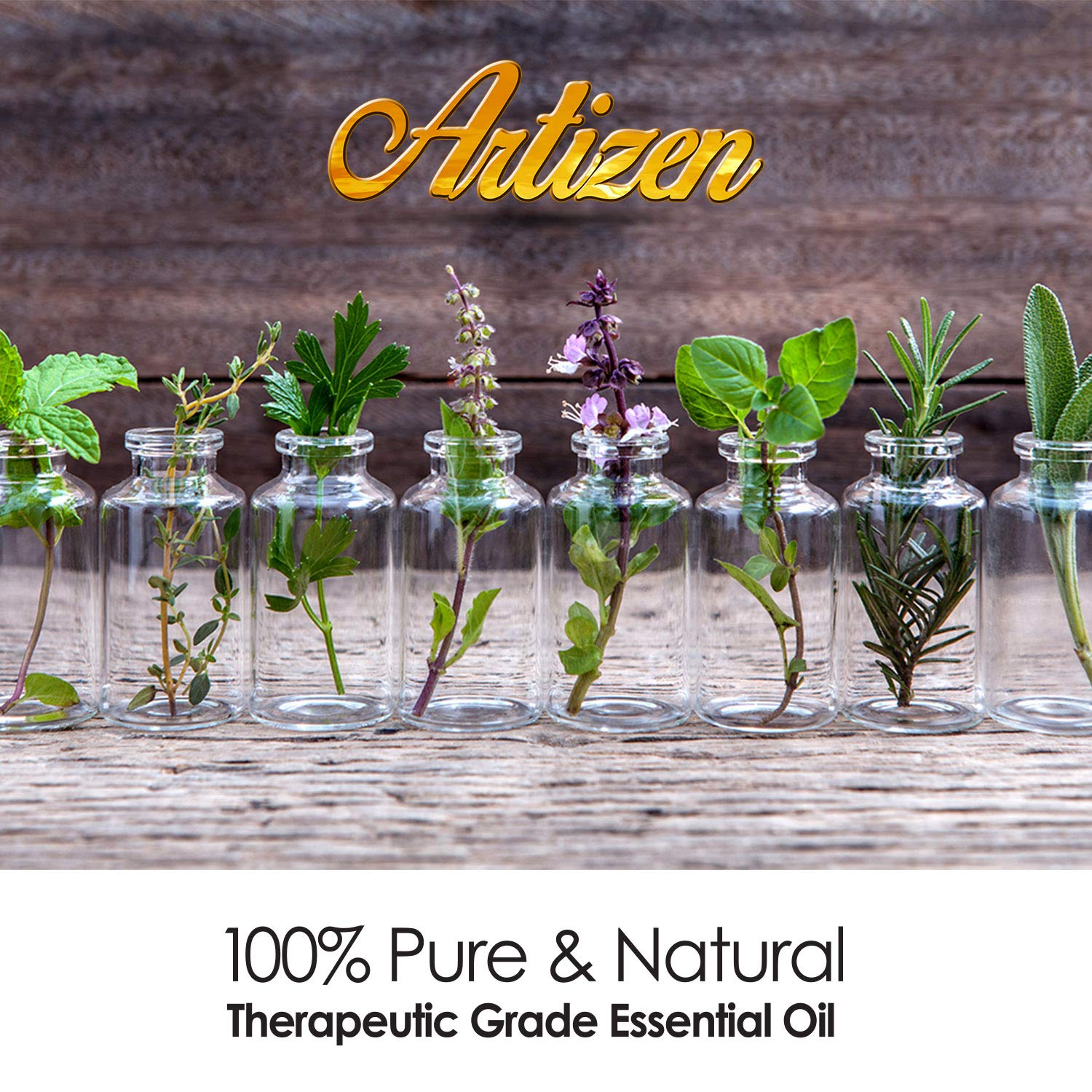 Artizen 2oz Camphor Essential Oil - 100% Pure Natural Aromatherapy Oil for Diffuser, Massage & Pain Relief - 2 Fluid Ounces