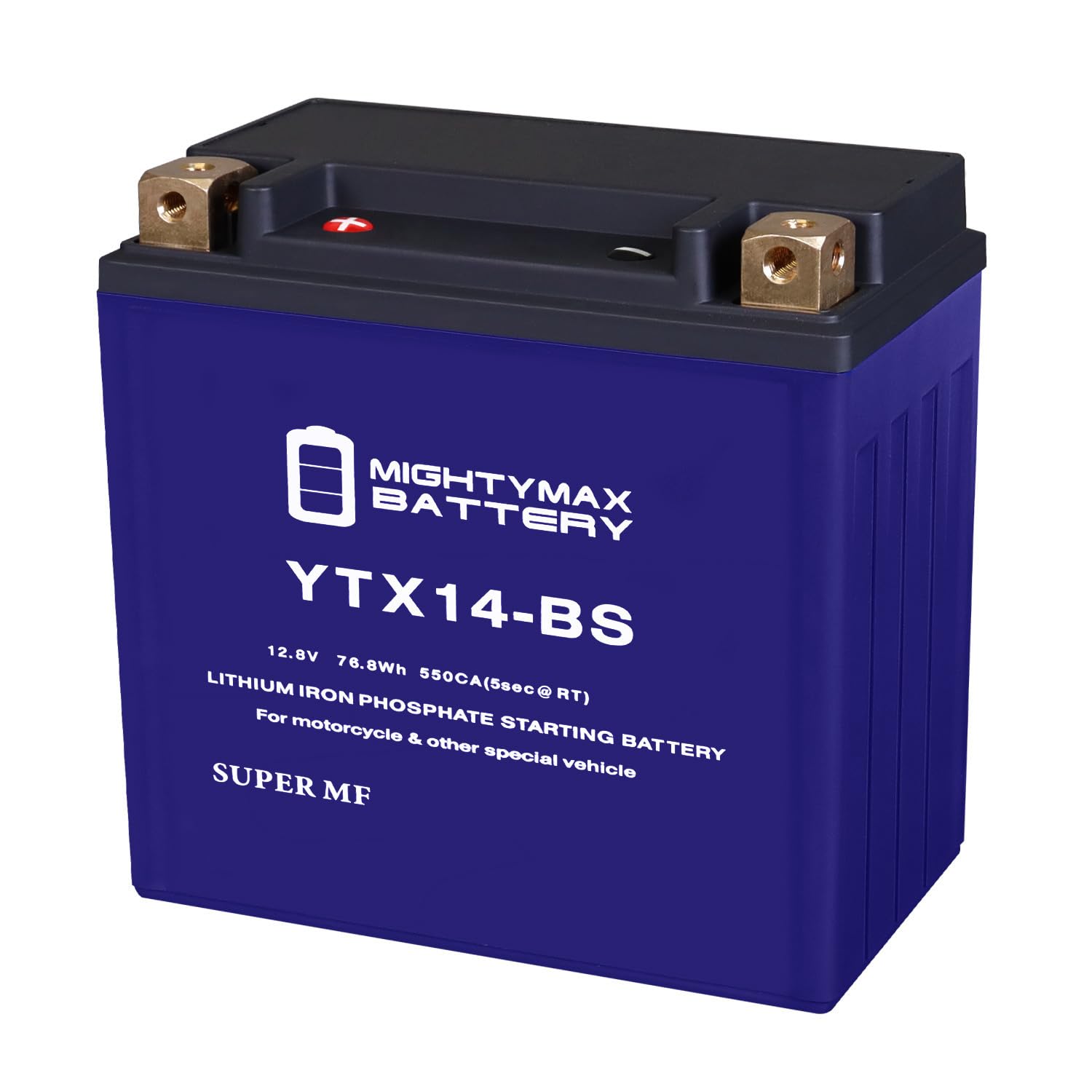 Mighty Max YTX14-BS Lithium Battery for Yamaha YFM250 Bear Tracker 01-04 - ATV Power Solution