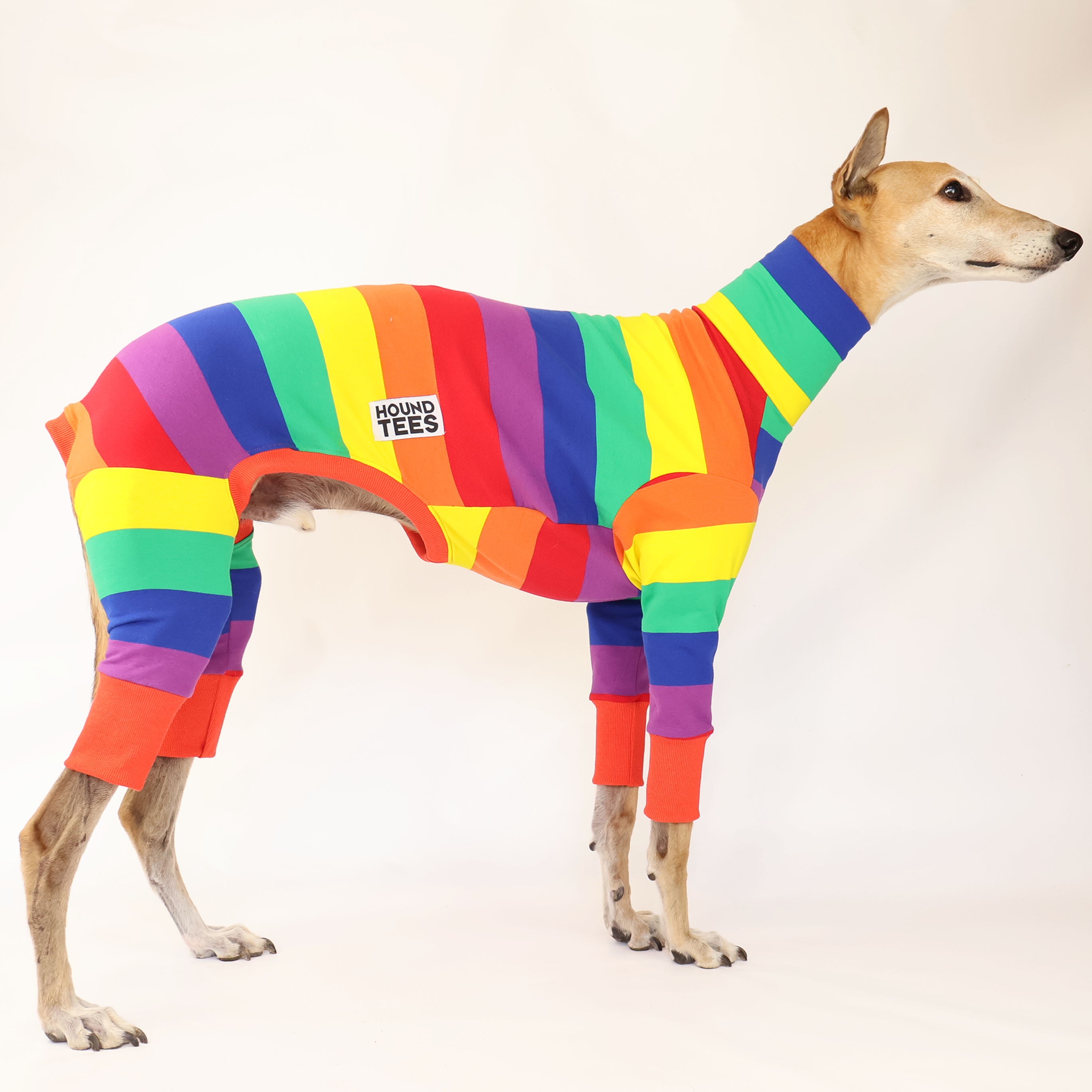 Premium Greyhound Jellybeans Long Johns - Soft & Comfortable Thermal Underwear for Cold Weather - Perfect for Winter Sports, Outdoor Activities & Layering