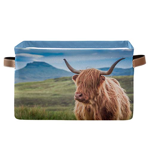 Highland Cow Collapsible Storage Basket - 2 Pack Waterproof PU Handled Organizer for Nursery, Laundry, Bathroom & Home Decor | Foldable Fabric Bin for Toys, Blankets & Clothes