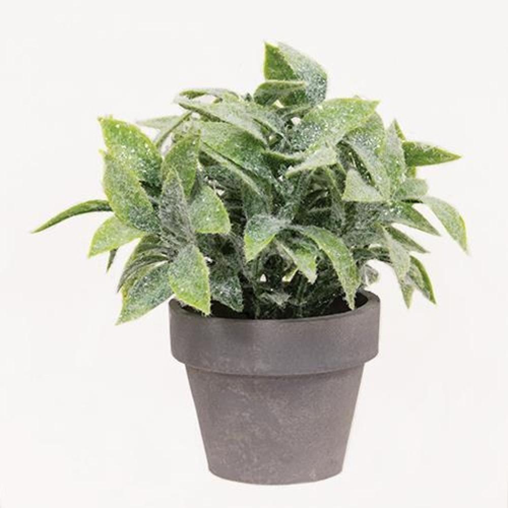 Icy Gatehouse Pot #3 6 - Premium Ceramic Plant Pot for Indoor & Outdoor Plants, Home & Garden Decor - Perfect for Succulents, Herbs, Flowers & Office Desk Decor