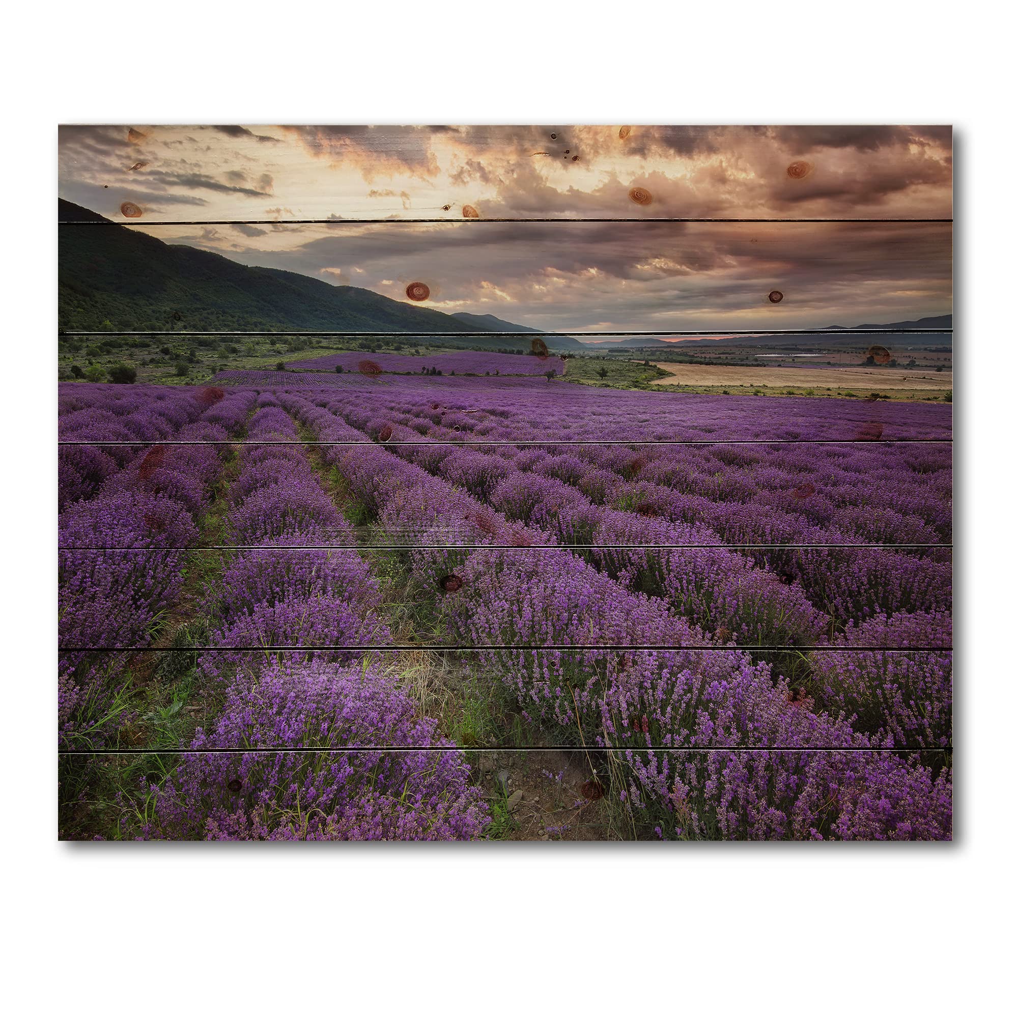 DesignQ Lavender Field at Dawn Farmhouse Wood Wall Art - Large Purple Landscape Wall Decor Printed on Natural Pine Wood - Perfect for Living Room, Bedroom & Office Decor
