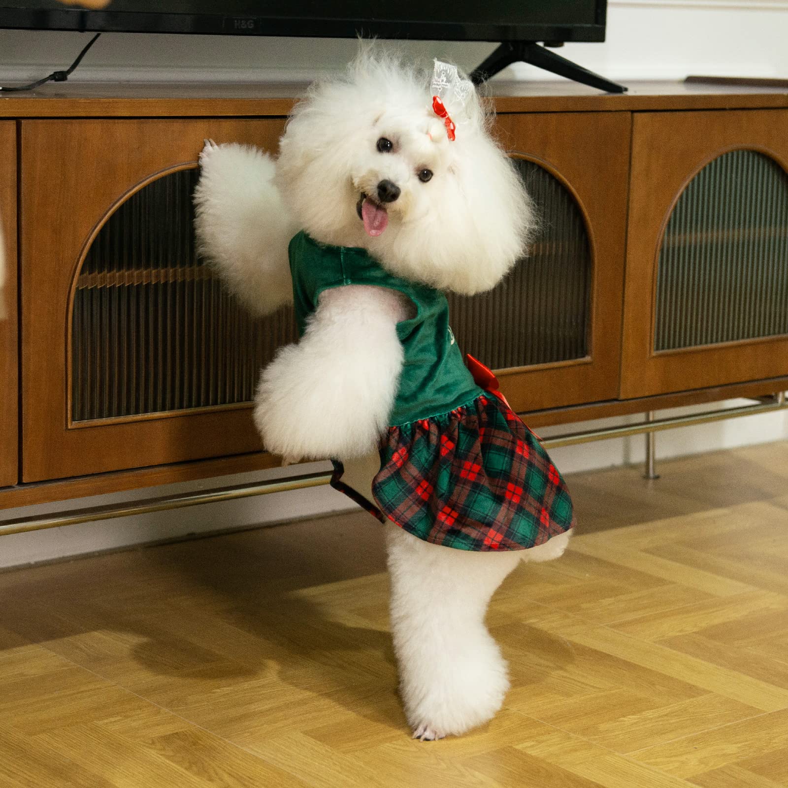 CuteBone Christmas Tree Dog Dress - Velvet Plaid Puppy Clothes for Small Dogs & Girls (Green, XS) - Perfect for Holiday Photos & Festive Parties