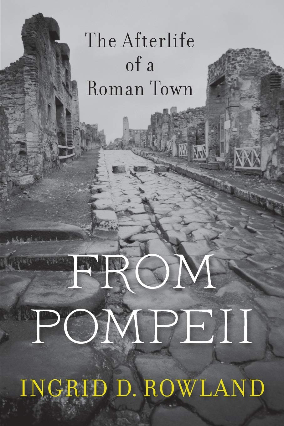 From Pompeii: The Afterlife of a Roman Town - Ancient History Book & Archaeological Discovery Guide | Perfect for History Buffs, Students & Travel Enthusiasts