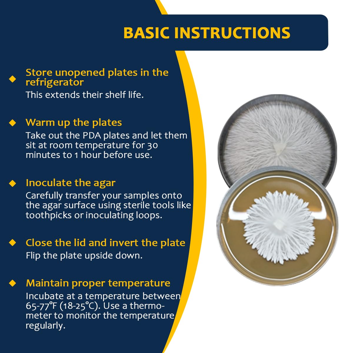 Ready-to-Use Prepoured Potato Dextrose Agar Petri Dishes (PDA) - 10 Pack for Mushroom Cultivation & Mycology Research | Ideal for Lab Experiments, Fungal Growth Studies & Home Science Projects