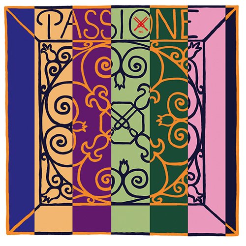 Pirastro G Gut/Silver 17 Violin Strings Passione - Premium Gut Core Strings for Professional Violinists | Perfect for Classical & Baroque Music Performances