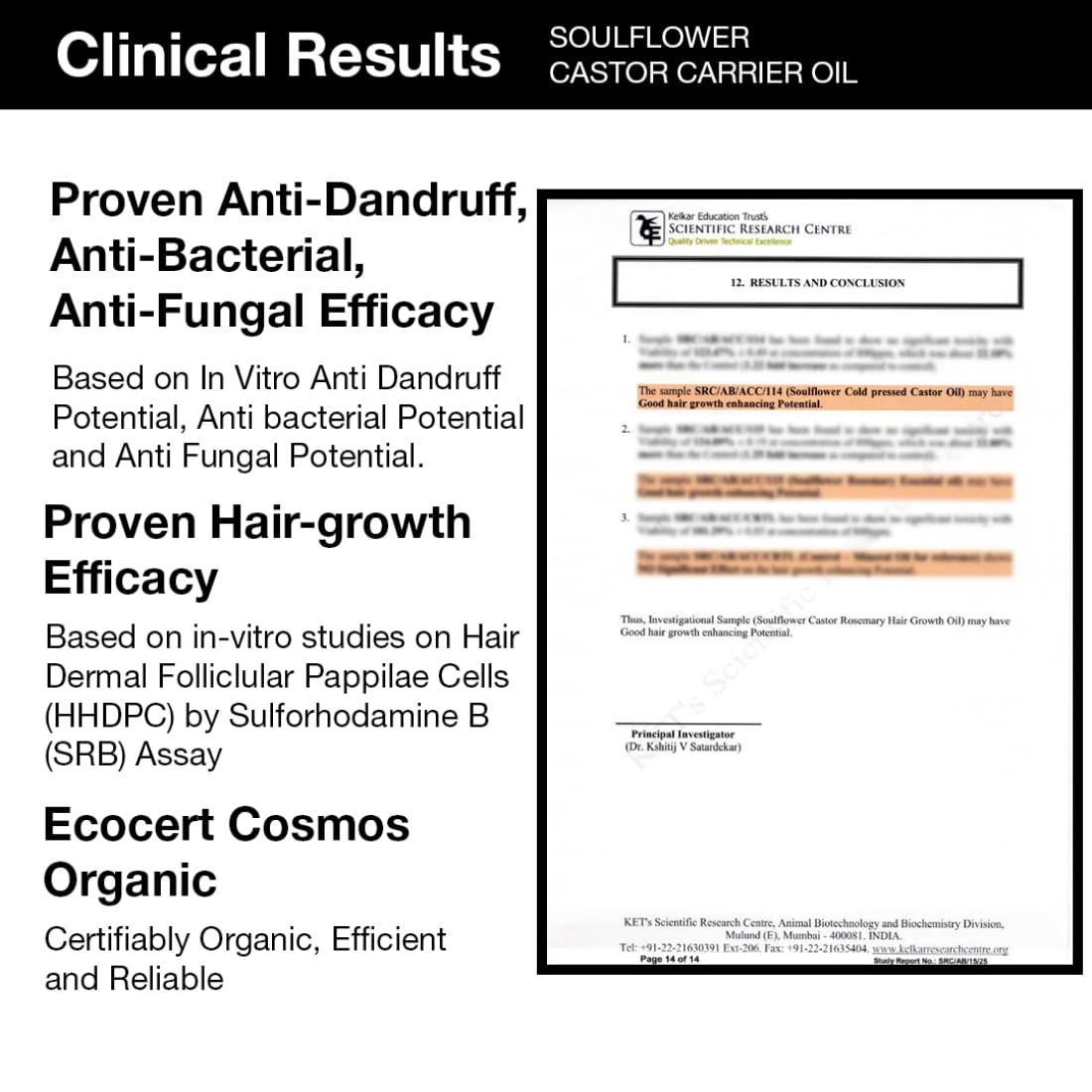 Organic Rosemary & Castor Oil for Hair Growth & Skin Care - 100% Pure Natural Ecocert Certified Essential Oil (2 Pack, 240ml) - Promotes Thicker Hair & Hydrates Dry Skin for Men & Women