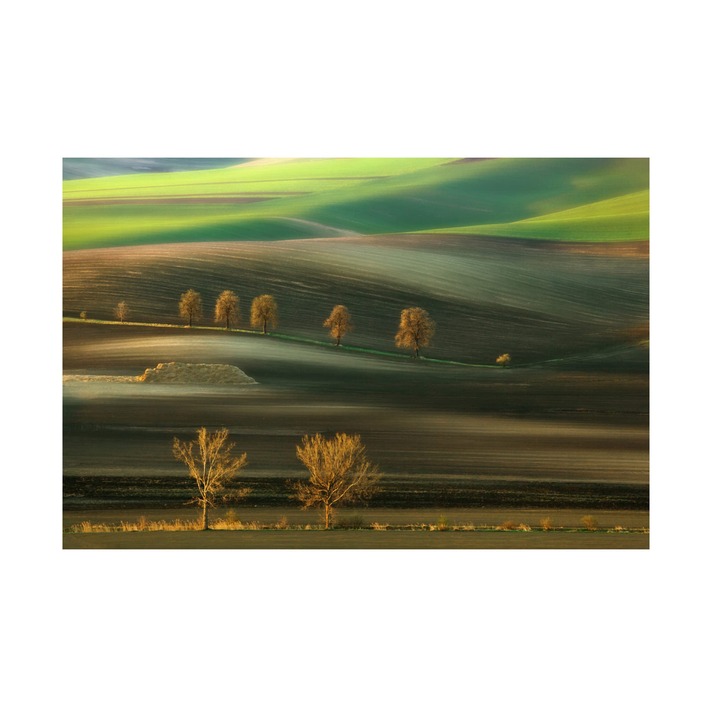 Trademark Fine Art 'Ten' Canvas Wall Art by Krzysztof Browko - Modern Abstract Painting for Living Room, Bedroom & Office Decor