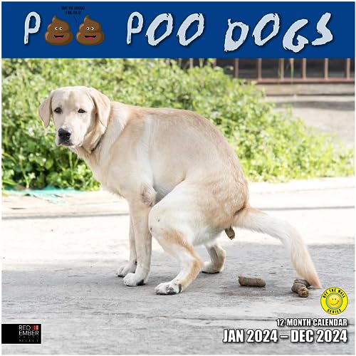 05 - Poo Poo Dogs