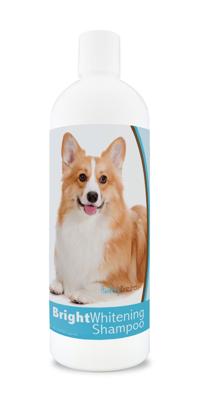 Healthy Breeds Pembroke Welsh Corgi Bright Whitening Shampoo for Dogs - 12 oz | Whitens & Brightens Coat | Gentle Formula for Sensitive Skin | Perfect for Show Dogs & Daily Grooming