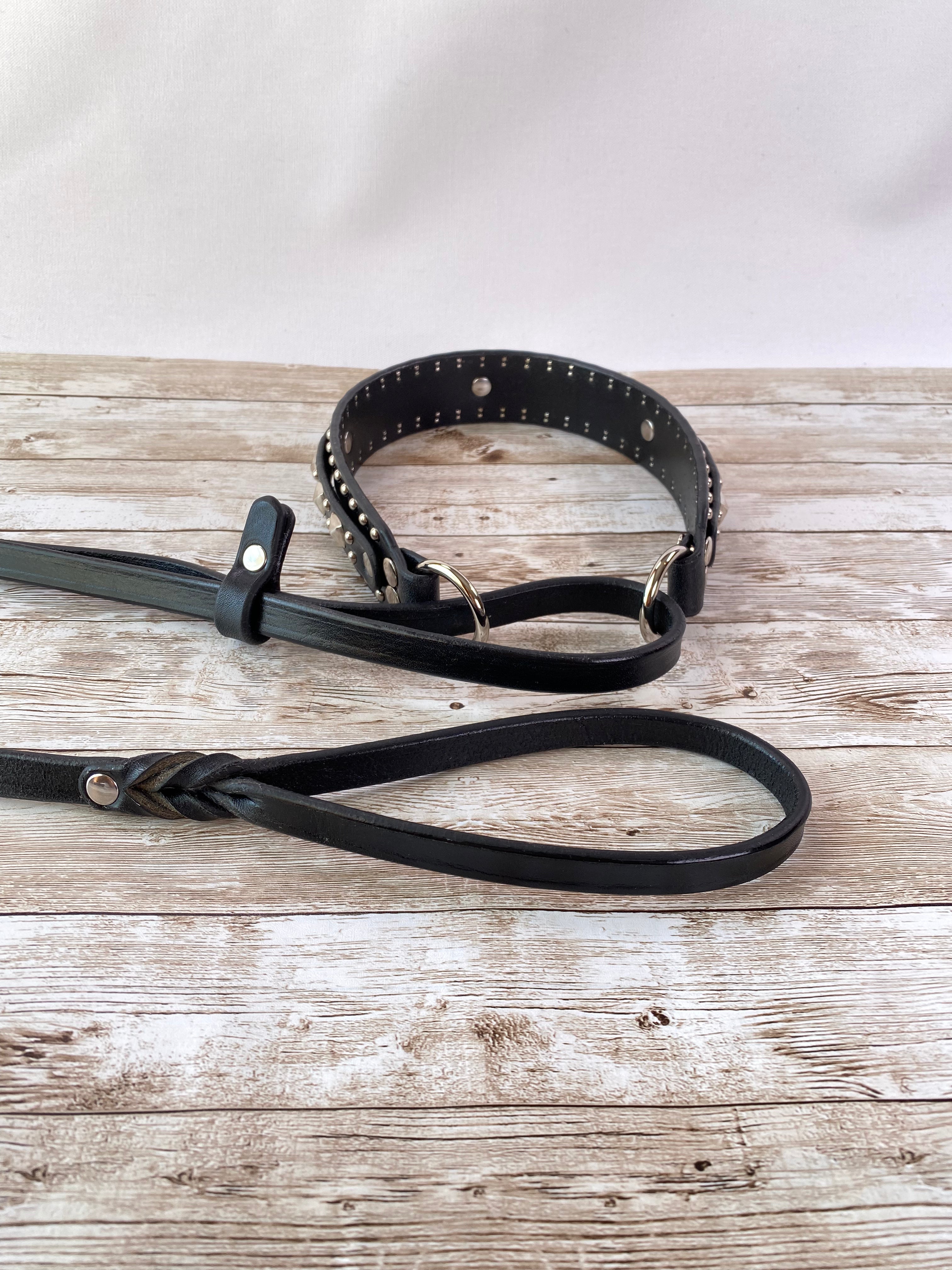Philly French Martingale Horse Training Equipment – Adjustable Leather Headpiece for Dressage & Jumping | Perfect for Equestrian Training & Show Riding