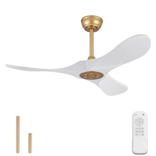 White+Gold