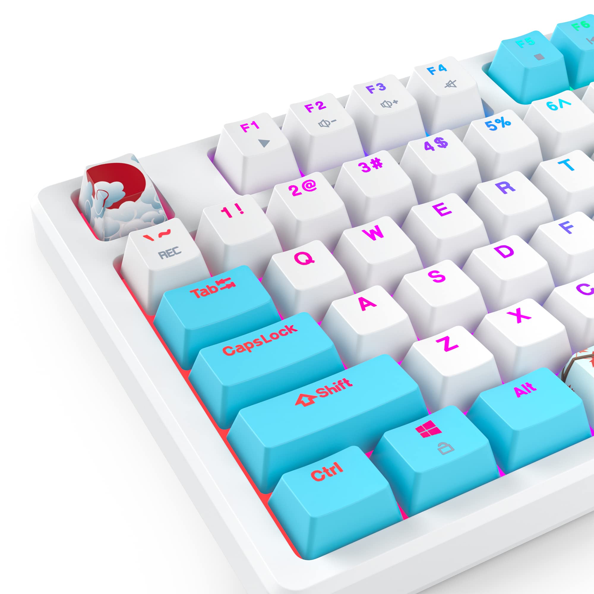 SOLIDEE 87-Key RGB Mechanical Gaming Keyboard - Compact, Portable for PC/Mac - Perfect for Office & Gaming