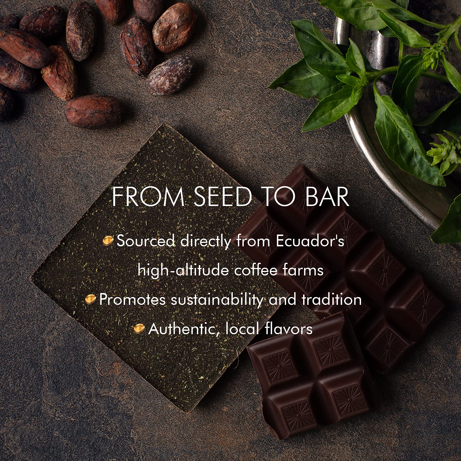 Mayta Gourmet Dark Chocolate Bars 70% Cacao with Exotic Fruits & Basil - Premium Ecuadorian Fine Aroma Cocoa - 12 Pack (600g) - Perfect for Gifts, Dessert Pairing & Gourmet Snacking