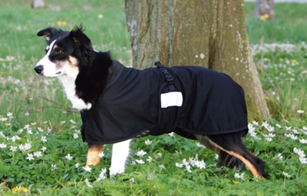 Back on Track Mesh Dog Blanket - Breathable & Comfortable Pet Blanket for Small to Large Dogs - Perfect for Travel, Crate & Home Use