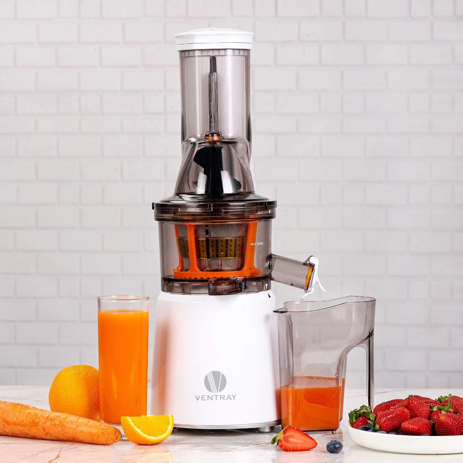 800W Slow Masticating Juicer - Cold Press Juicer for Fruits & Vegetables - Quiet & Efficient for Home, Gym, or Office Use