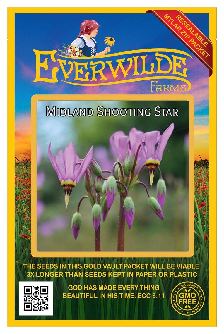 Everwilde Farms - 150 Midland Shooting Star Native Wildflower Seeds - Gold Vault Seed Packet for Pollinator Gardens & Natural Landscaping