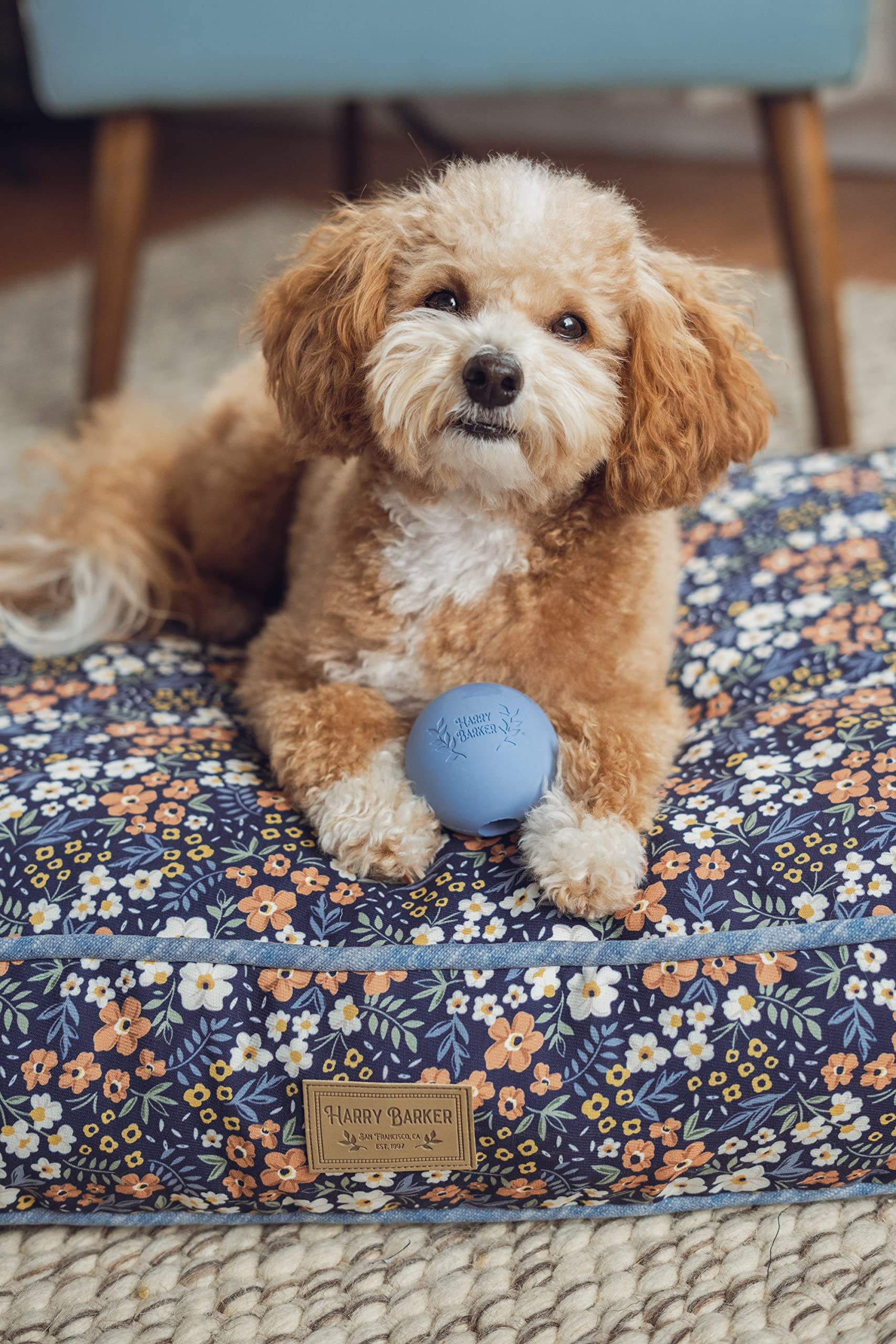 Harry Barker Durable Rubber Balls and Chew Toys for Dogs - 6 Pack of 2.5