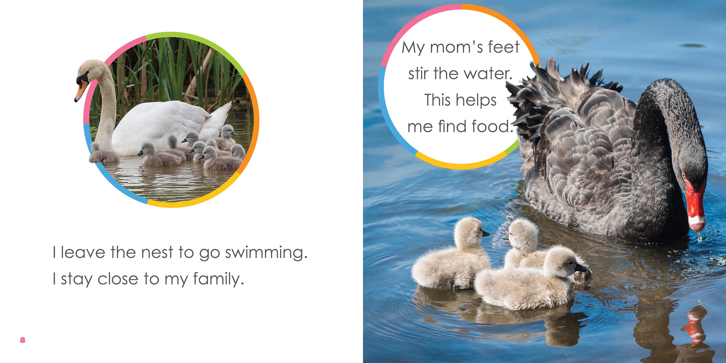 Baby Swans Starting Out - Adorable Swan Figurines for Nursery Decor, Baby Showers & Gift Ideas
