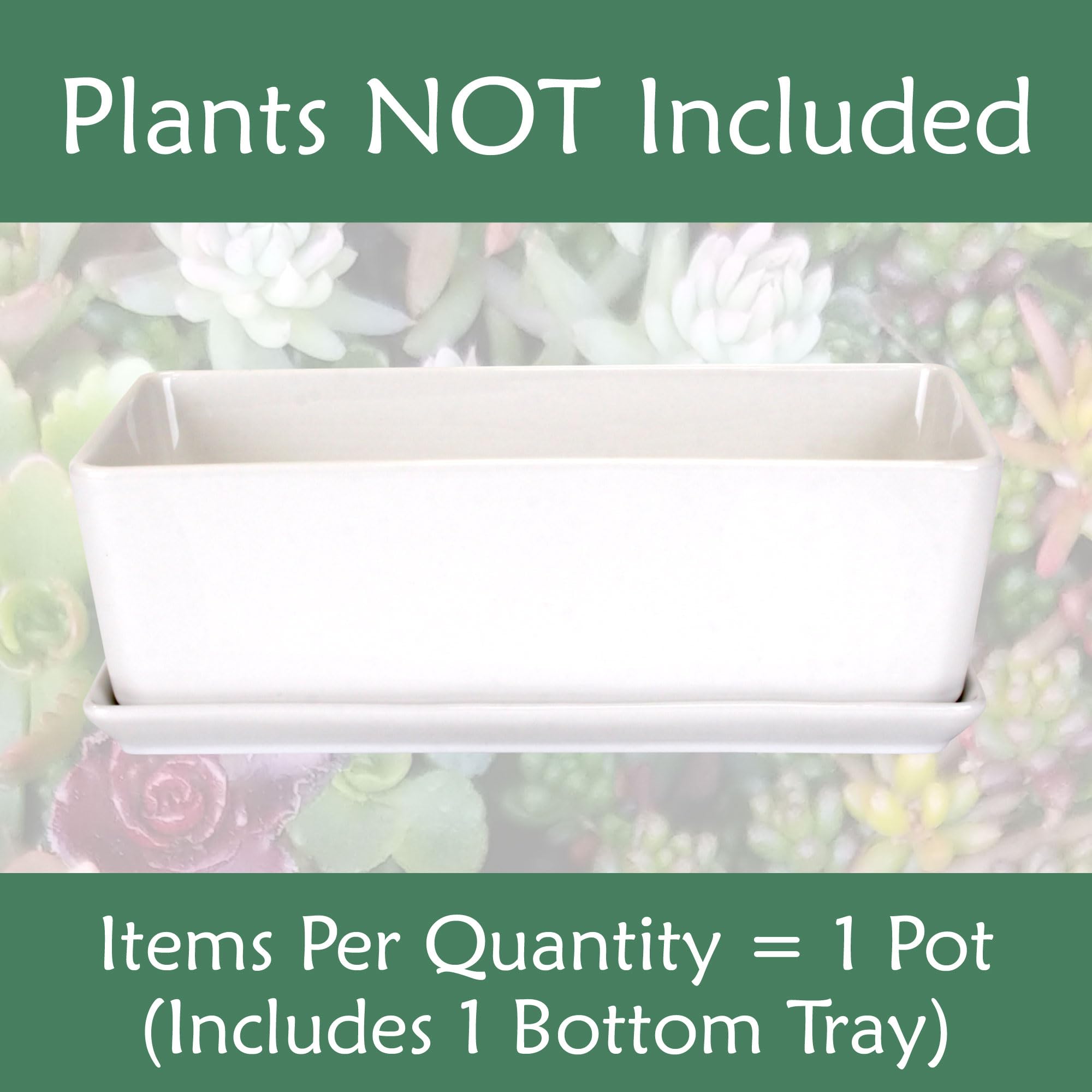 BambooMN White Ceramic Succulent Planter Pot with Drainage Tray - 10.1 Inch Short Rectangle Flower Pot for Indoor Plants, Home Decor, Office Desk, and Garden Succulents