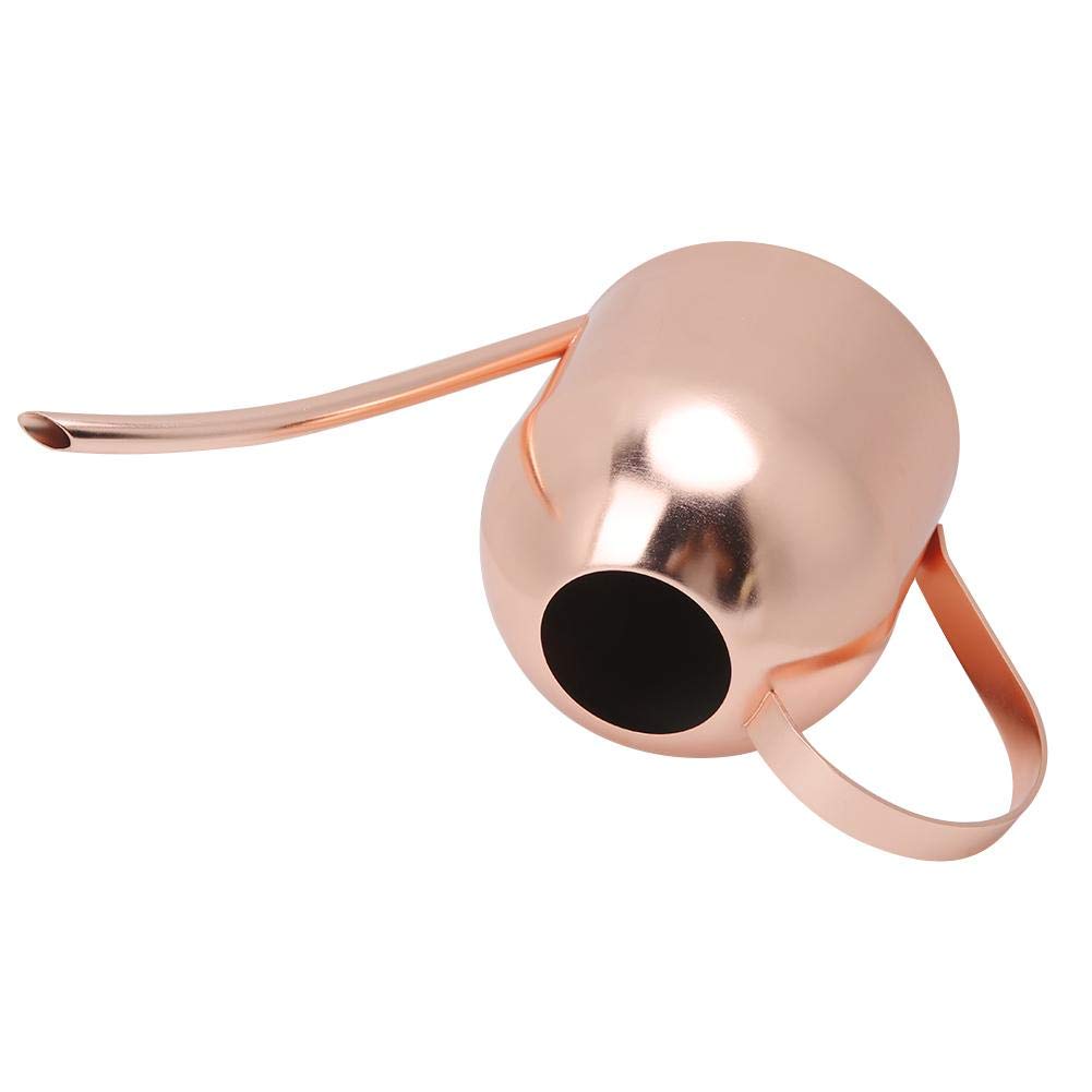 Stainless Steel Watering Can 1000ml - Long Spout Garden Watering Pot for Indoor/Outdoor Plants, Flowers & Herbs | Modern Design Plant Water Container for Balcony, Patio & Home Gardening