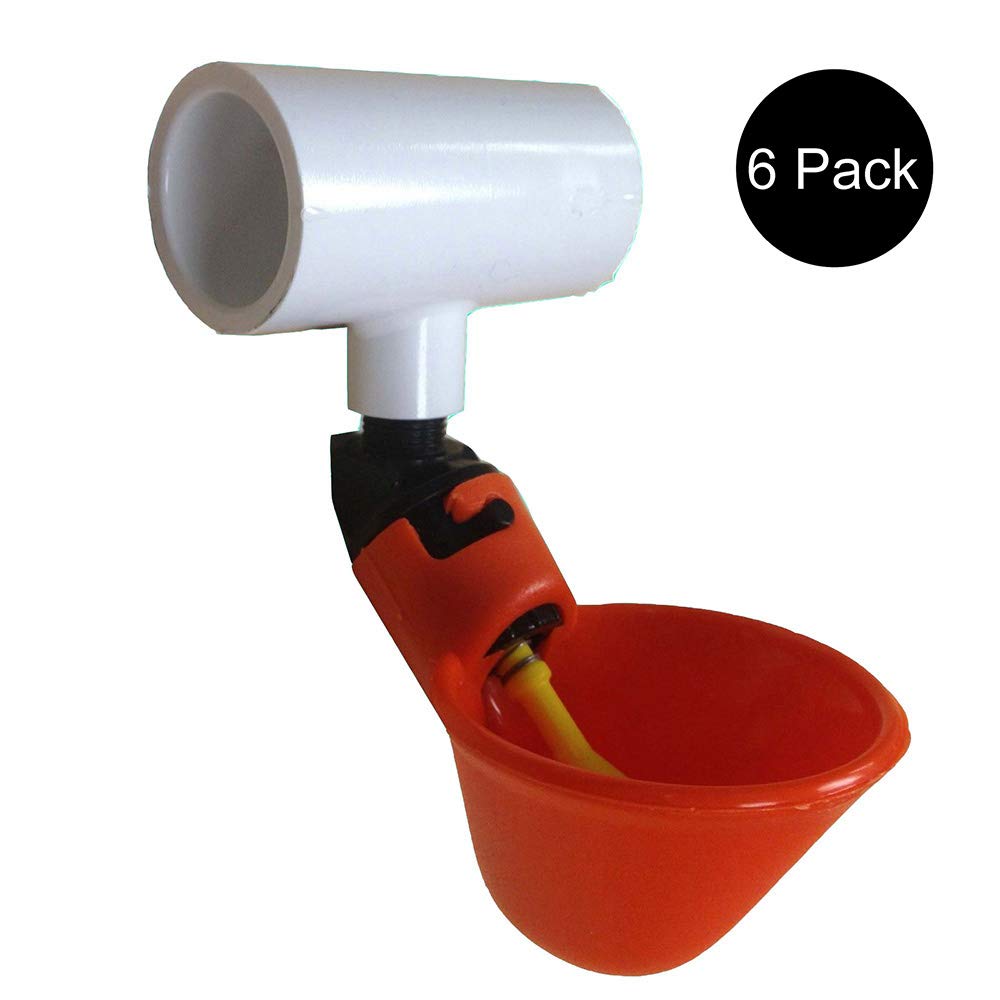 6 Pack Chicken Drinker Cups with 1/2