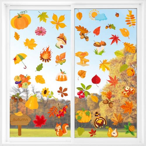 Maple Leaf C