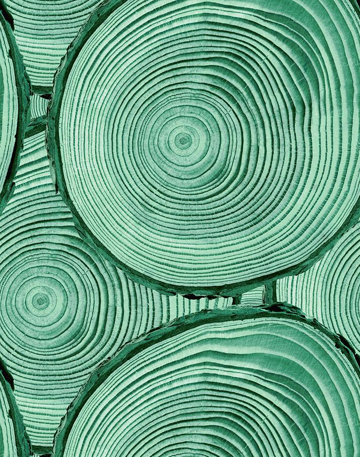 Nathan Turner Faux Bois Wallpaper - Hunter Green Peel & Stick Wallpaper for Bedroom, Living Room, and Home Office Decor