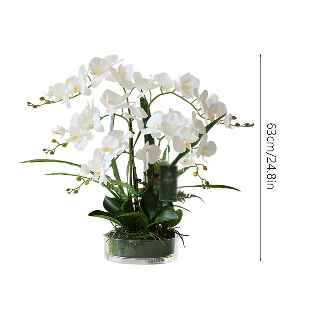 Large Artificial Silk Moth Orchid Flowers in Clear Glass Vase - Real Touch Phalaenopsis Arrangement (White) - Perfect for Home Decor, Wedding Centerpieces & Office Elegance
