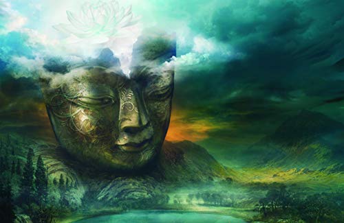 Insight Buddha