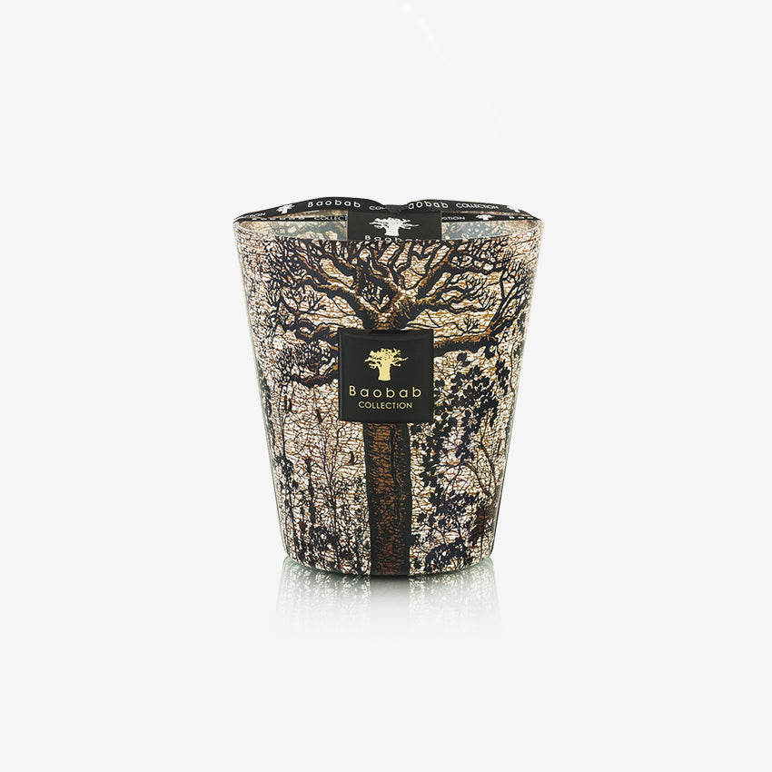 Baobab Collection Sacred Trees Morondo Scented Candle - Luxury Home Fragrance for Relaxation & Meditation | Perfect for Bedroom, Bathroom & Living Room Decor