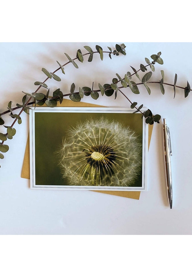 From My Angle Photography Notecards - Premium Photo Greeting Cards for All Occasions | Perfect for Thank You Notes, Birthday Wishes & Holiday Cards