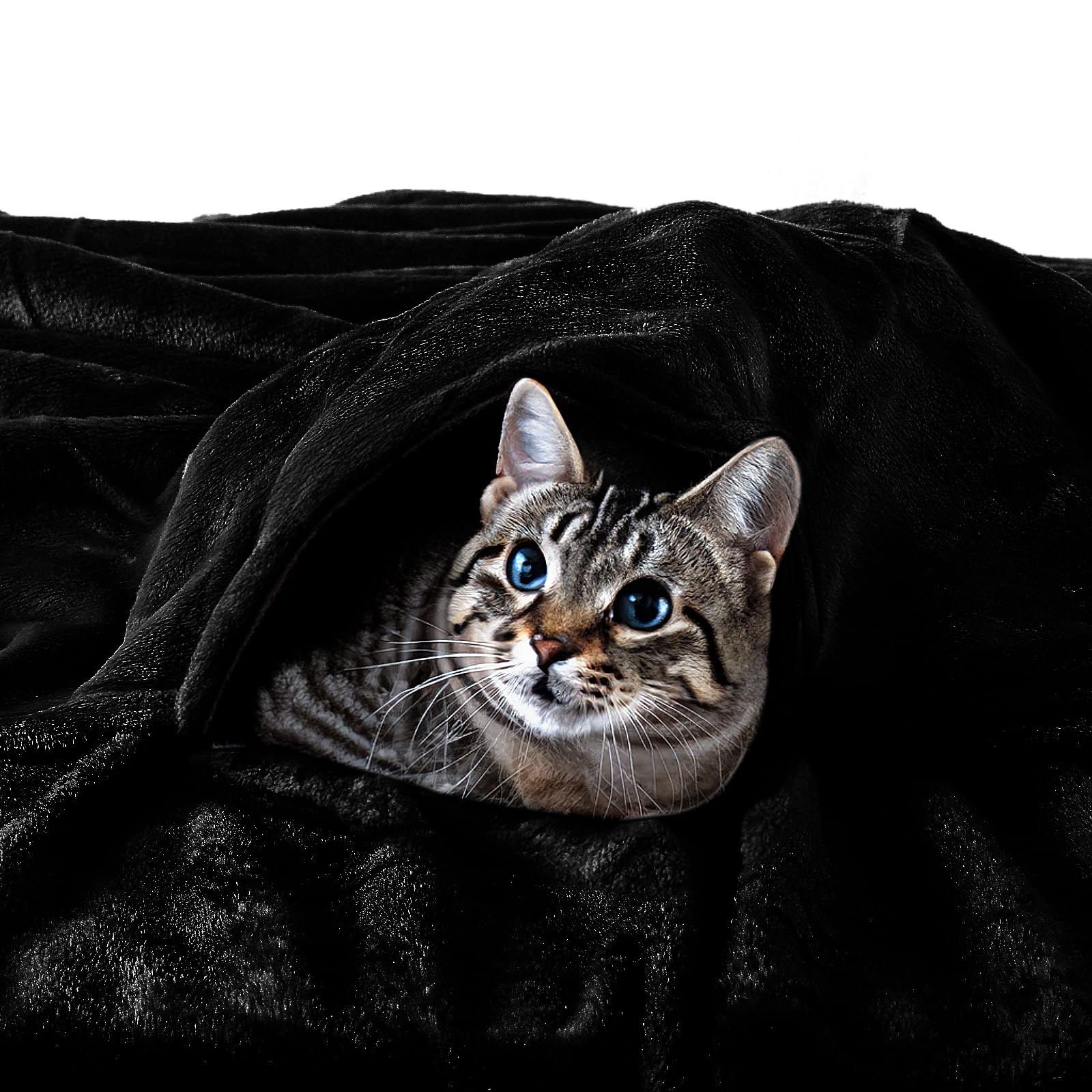 EHC Fleece Blanket - Ultra Soft Fluffy Throw Blanket for Sofa, Bed & Couch - 150x200cm (59x79 inches) Black - Perfect for Winter Warmth, Home Decor & Cozy Movie Nights