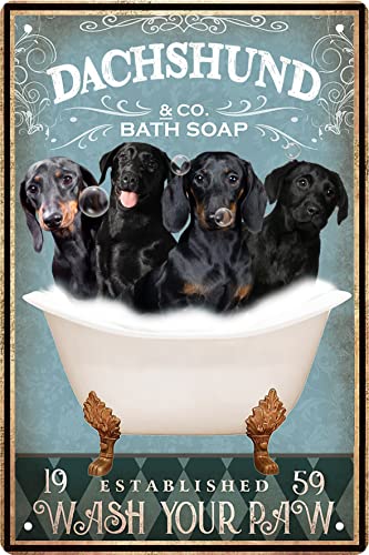 Dachund