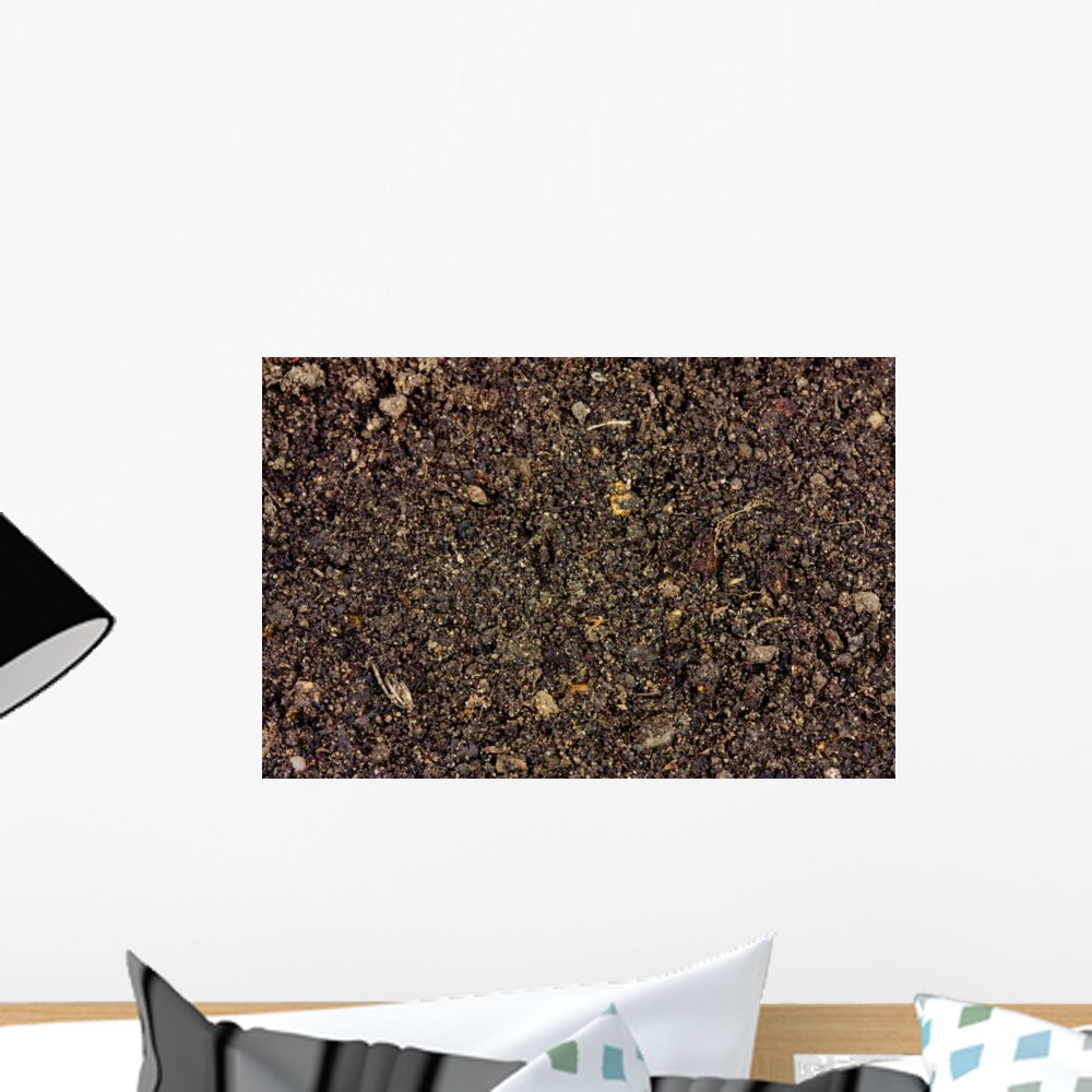 Wallmonkeys Peel and Stick Wall Decal - Soil Background Design - 18