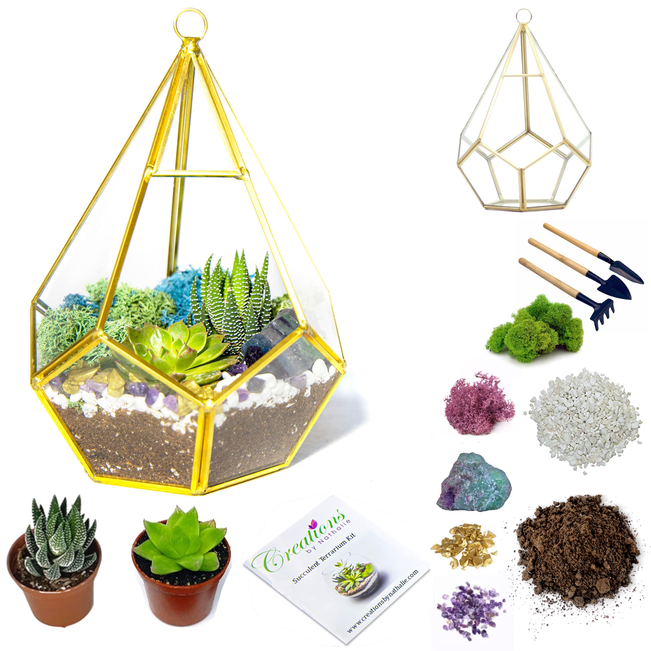 DIY Terrarium Kit with Live Plants, Decorative Rocks, Moss & Healing Crystals – 8