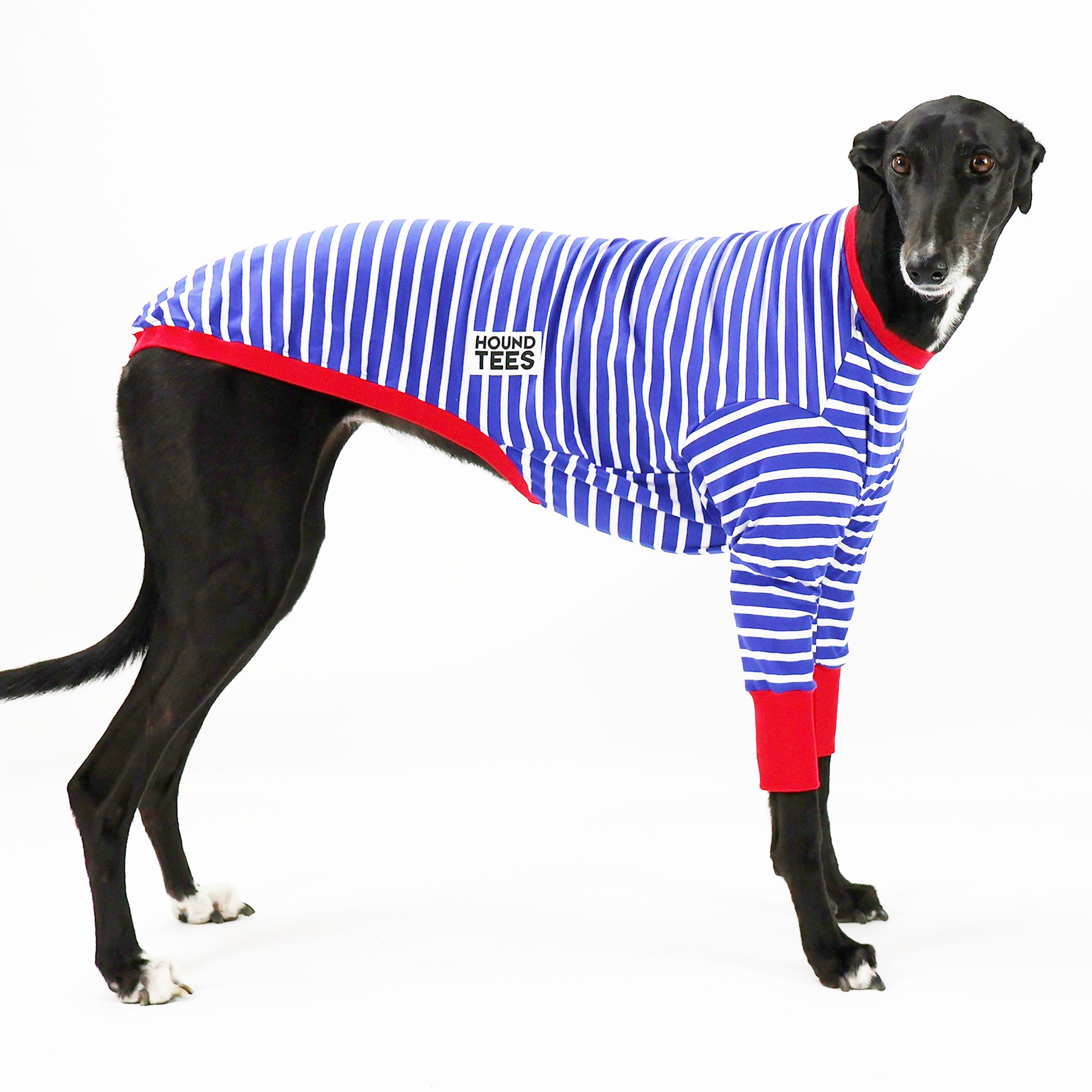 Blue Breton Greyhound Long Sleeve Hound T-Shirt for Men - Comfortable Casual Dog Lover Apparel for Everyday Wear & Outdoor Activities