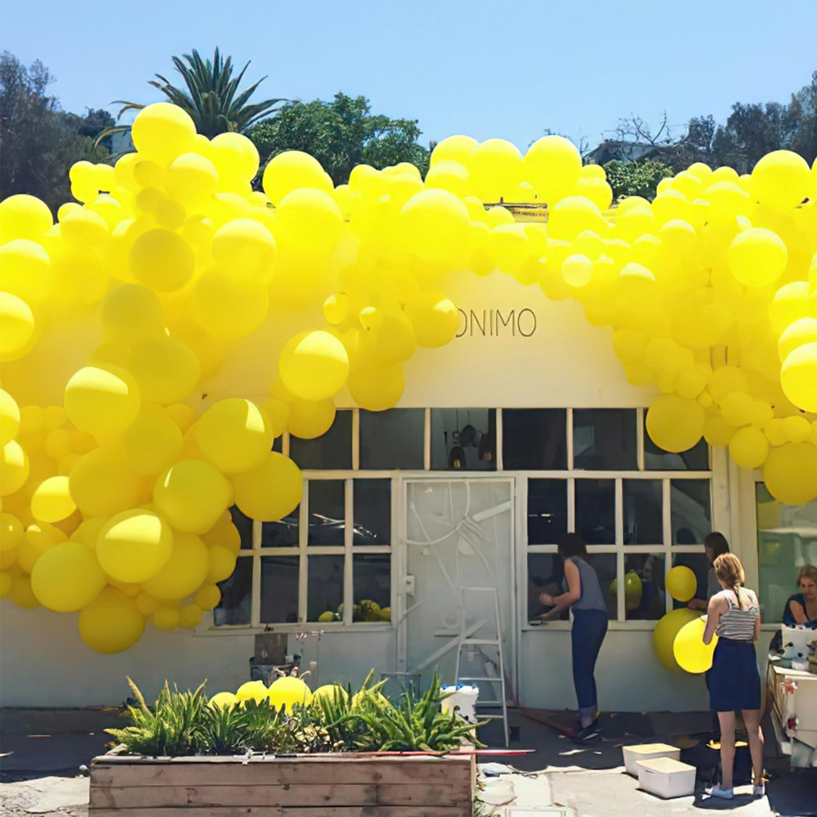 51 Pcs 12 Inch Matte Yellow Latex Balloons for Party Decorations - Balloon Garland, Balloon Arch, Birthday & Baby Shower Decor | Durable & Vibrant Yellow-Y55 Balloons for Indoor/Outdoor Events