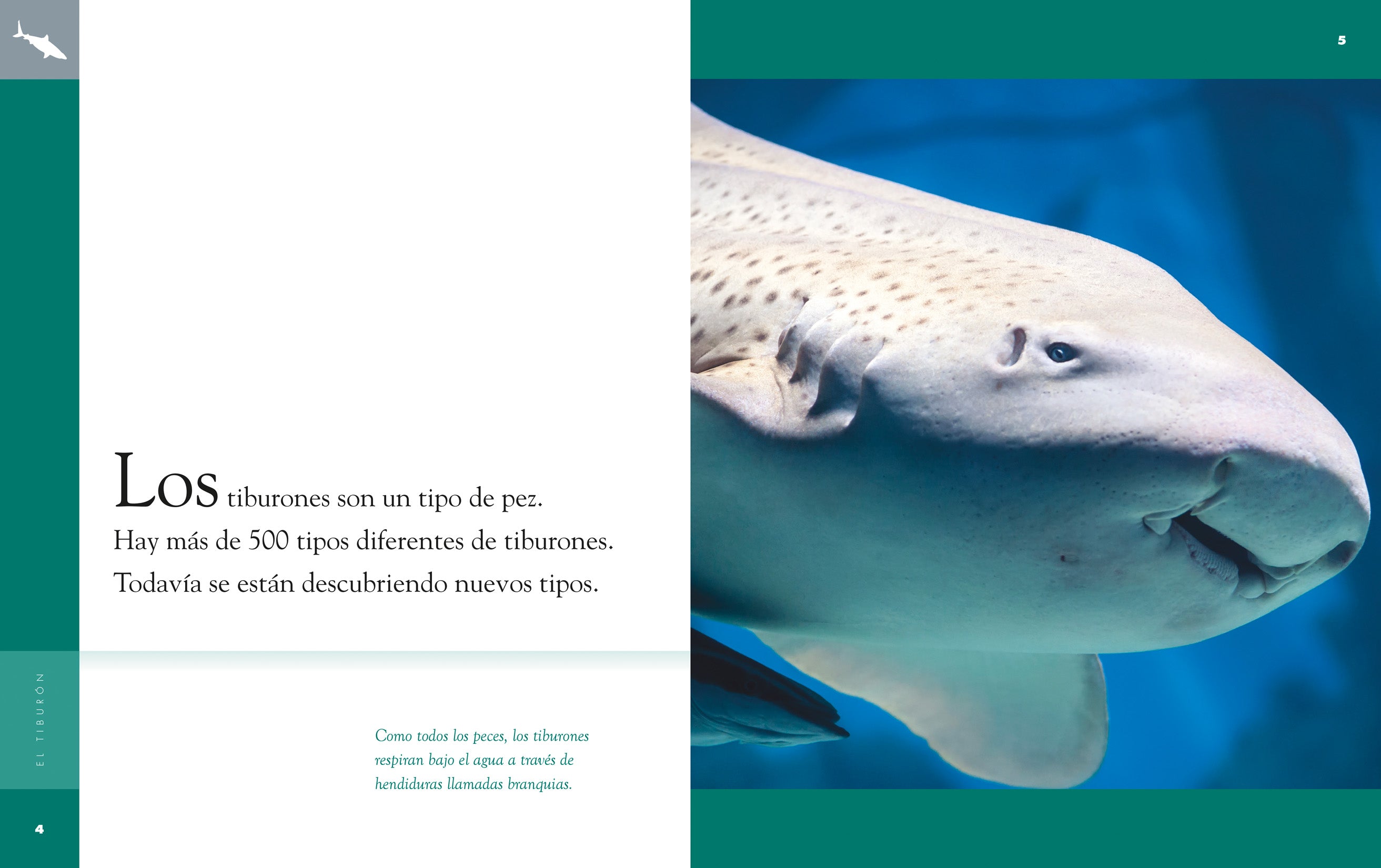 El Tiburon 9781640262669 - Shark Book for Kids, Educational Marine Life Reading, Perfect for Classroom & Home Learning