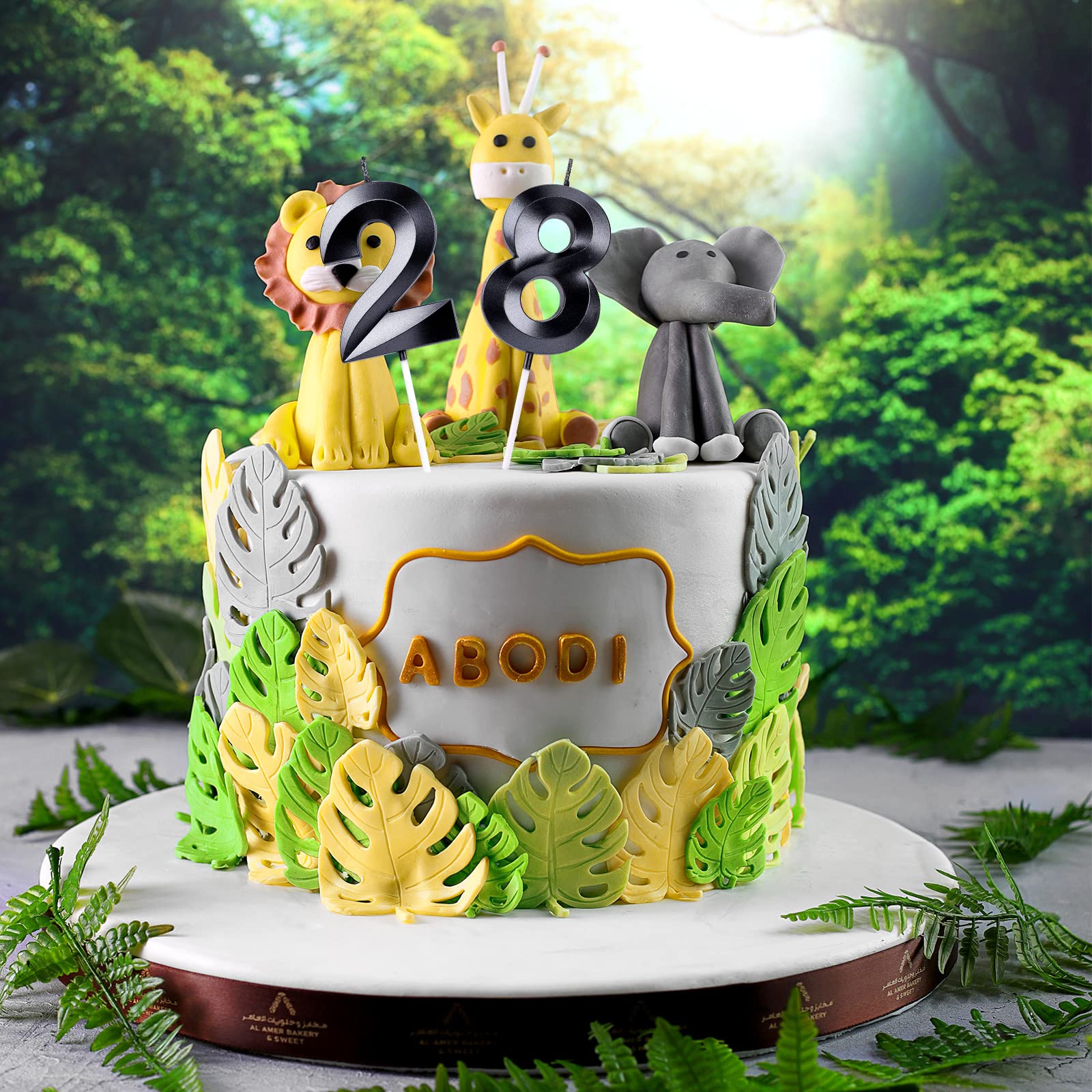 AIEX 2.76 Inch 3D Number Birthday Candles for Cake - Large Black Number 6 Cake Topper for Birthday Parties, Weddings, Anniversaries & Graduations | Perfect for Cake Decorating & Celebration Events