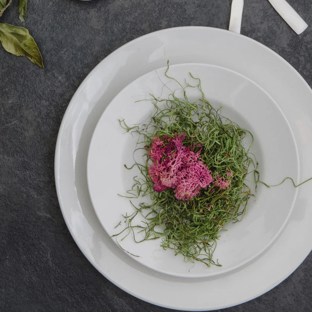 Browne Palm 12-Inch White Round Presentation Plates - Set of 12 - Perfect for Catering, Weddings, and Formal Dining Events