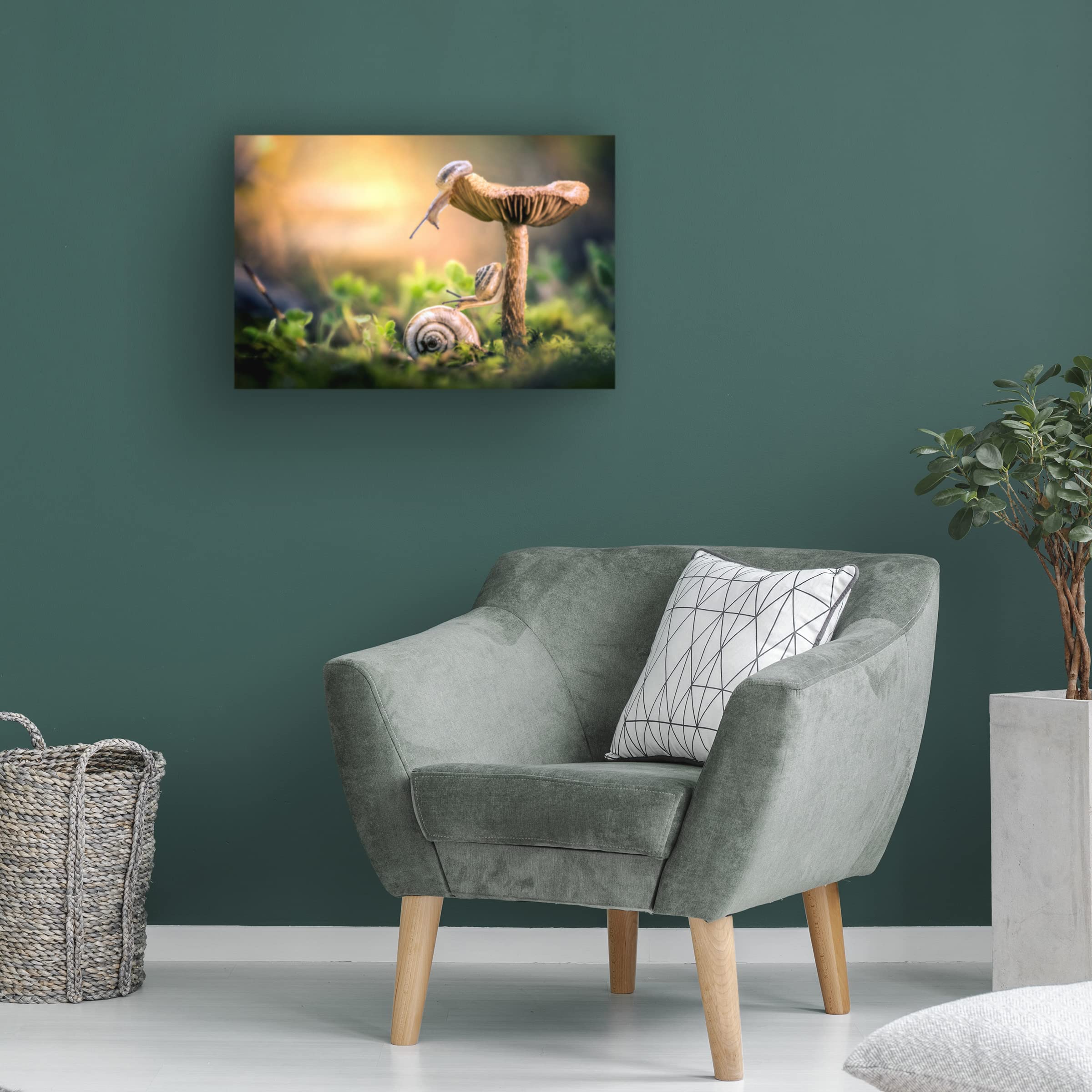 Trademark Fine Art 'The Awakening Of Snails' Canvas Wall Art by Alberto Ghizzi Panizza - Modern Home Decor for Living Room, Bedroom & Office